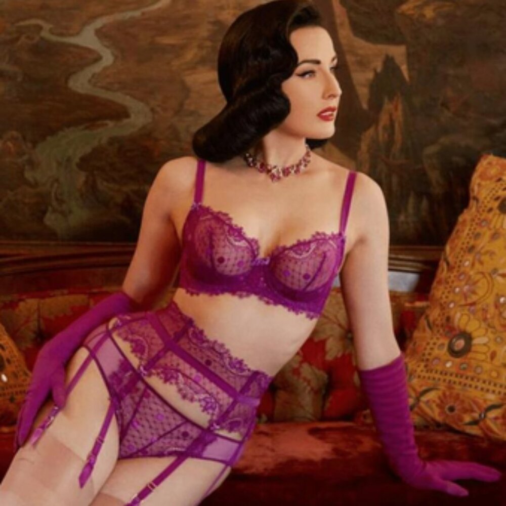 NWT Dita Von Teese Bra & 2 Panties